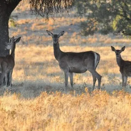 Pueblo Encanto, Rural * Herrera del Duque
